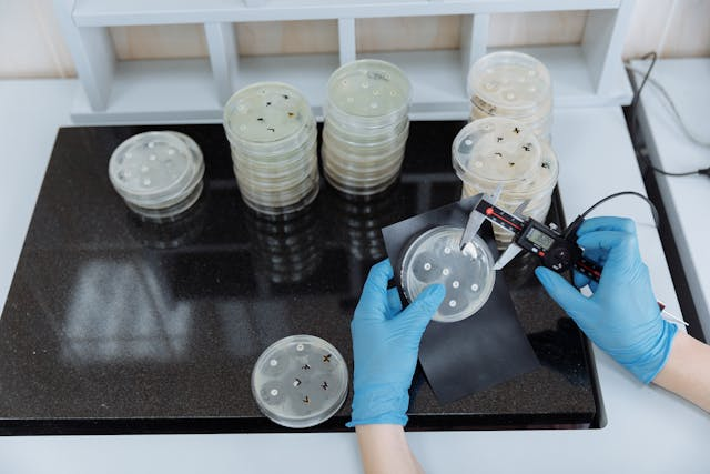 Quality ControlIcon measurement in laboratory